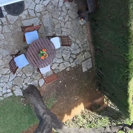 Tu Rincon Del Montgo *